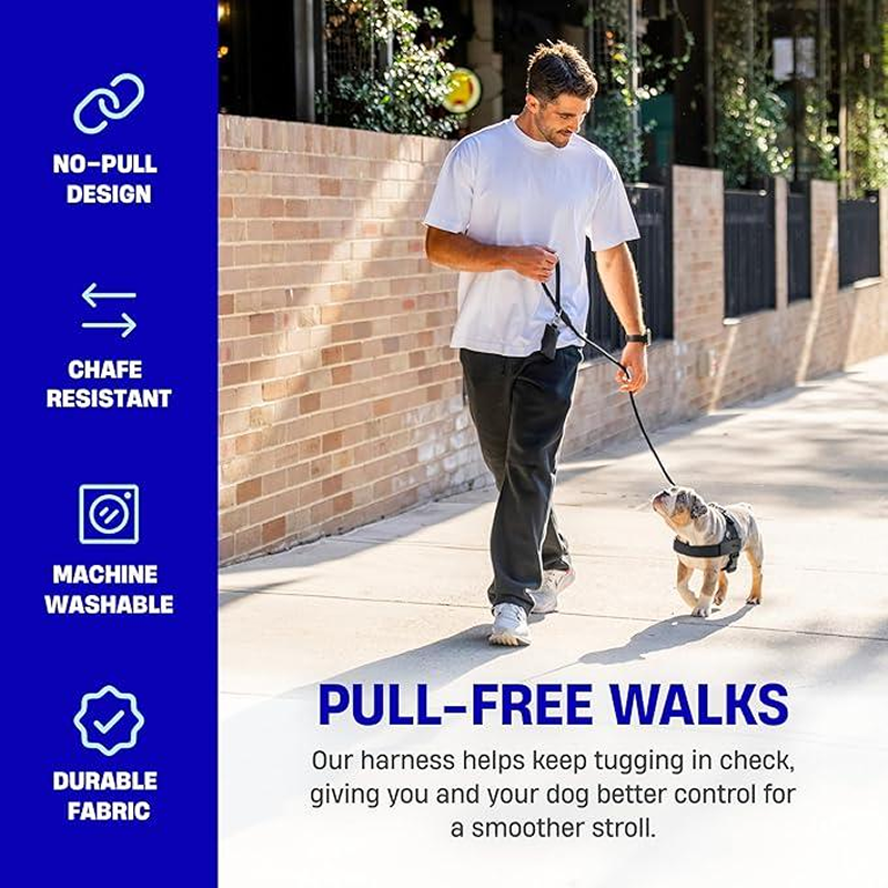 Premium Ergonomic Dog Harness