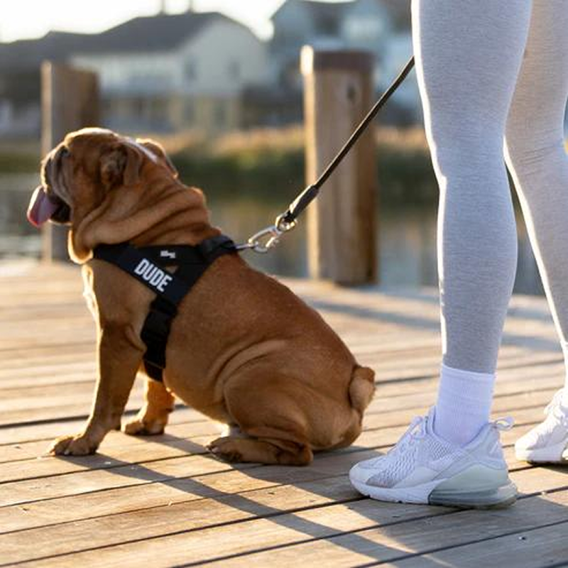 Premium Ergonomic Dog Harness