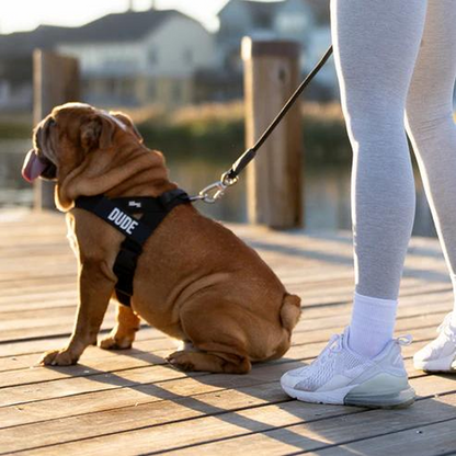Premium Ergonomic Dog Harness