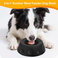 Suction Slow Feeder Dog Bowl