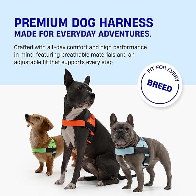 Premium Ergonomic Dog Harness